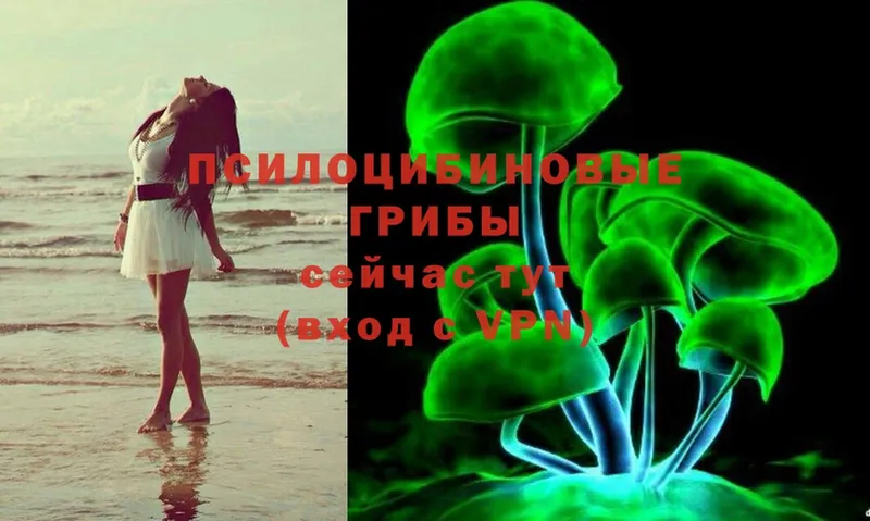 Псилоцибиновые грибы Magic Shrooms  Кораблино 